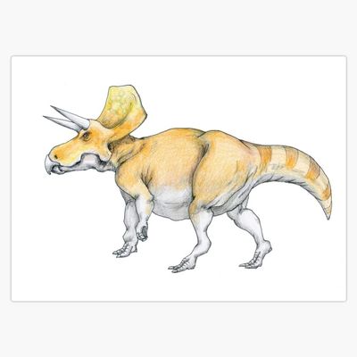 Triceratops/Zuniceratops Sticker Decal Size 5"