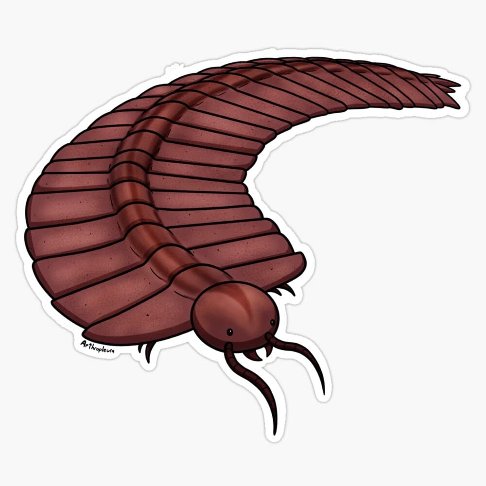 Arthropleura Sticker Decal Size 5"
