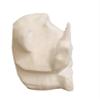 WorldBazzar Stress Relief Rubber Squishy Rude 3" Monkey with Middle Finger Bad Statue Handmade Tiki Dcor Squeezies view 3