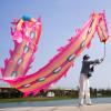 6 Meters (19.6 FT) 3D Square Exercise Dragon & Phoenix Poi with 340g Weighted Ball & 1.1 Meters Swing Rope, Silk-like Flowy Chinese Golden Phoenix Ribbon Streamer + Travel Bag! (Pink Phoenix) view 1