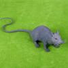 2 PCS Plastic Fake Rat Toys Halloween Prank Props Party Decoration Mouse Simulation Toys 7-inch Big Rat Toys Novelty Props for Haunted House Party view 3