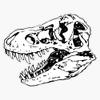 Geo-Rex Vortex Black Sticker Decal Size 5" view 1