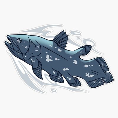 Coelacanth Sticker Decal Size 5"