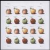 Apples 33 Cent Pane of 20 Postage Stamps Scott 4730 view 1