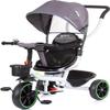Chipolino Jetro 3-in-1 Tricycle, Swivel Seat, Parental Handlebar and Seat Belt, Light Grey view 1