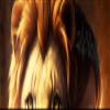 The Lion Of Judah - Symbol of Jesus Christ Cornhole Wraps view 3