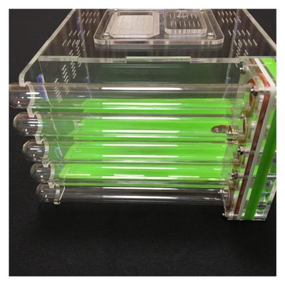 KXCR Ant Farm Large Ant Farm 5 Tube Design DIY Ant Nest Castle with Feeding Area Acryl Ants House Pet Mania Villa Anthill Workshop