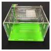 KXCR Ant Farm Large Ant Farm 5 Tube Design DIY Ant Nest Castle with Feeding Area Acryl Ants House Pet Mania Villa Anthill Workshop view 4