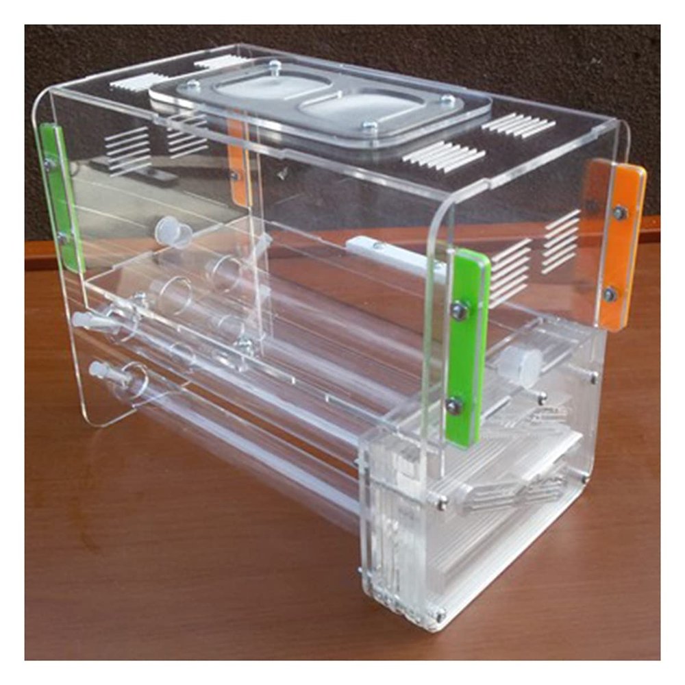 KXCR Ant Farm Large Ant Farm 6 Tube Design DIY Ant Nest Castle with Feeding Area Acryl Ants House Pet Mania Villa Anthill Workshop (Color : A)