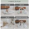 Aila+Aiden 6-in-1 XL Play Mat & Play Gym, Baby Gym, Baby Activity Gym, Sensory Exploration and Motor Skill Development Toys (Sage) view 2