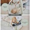 Aila+Aiden 6-in-1 XL Play Mat & Play Gym, Baby Gym, Baby Activity Gym, Sensory Exploration and Motor Skill Development Toys (Sage) view 4