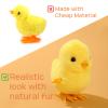HawaStar Easter Wind-Up Plush Toys Fluffy Realistic Jumping Chicks & Ducks for Kids (Pack of 4) view 4