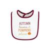 Hudson Baby Unisex Baby Cotton Bibs, Pumpkin Spice Date, One Size view 4