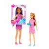 Barbie Celebration Fun Birthday Skipper and Stacie Doll 2-Pack view 3