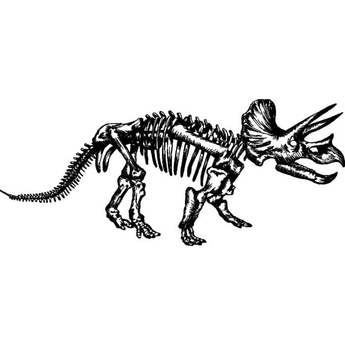 Azeeda 'Triceratops Skeleton' Unmounted Rubber Stamp - for Crafting, Scrapbooking and Card Making - Size A8 (RS00048690)