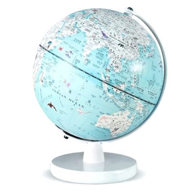 POCHY Beautiful Globe Illuminated Globe with Icon Touch Dimming Globes 360 Rotating World Globe for Students Geographic Globes 20 Cm Fine and Clear
