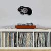 Round Wall Clock Guinea Pig Hamster Piggie Pet Nursery Shadow Laser Etched Art Wall Clock Animal Lovers Decorative Gift view 3