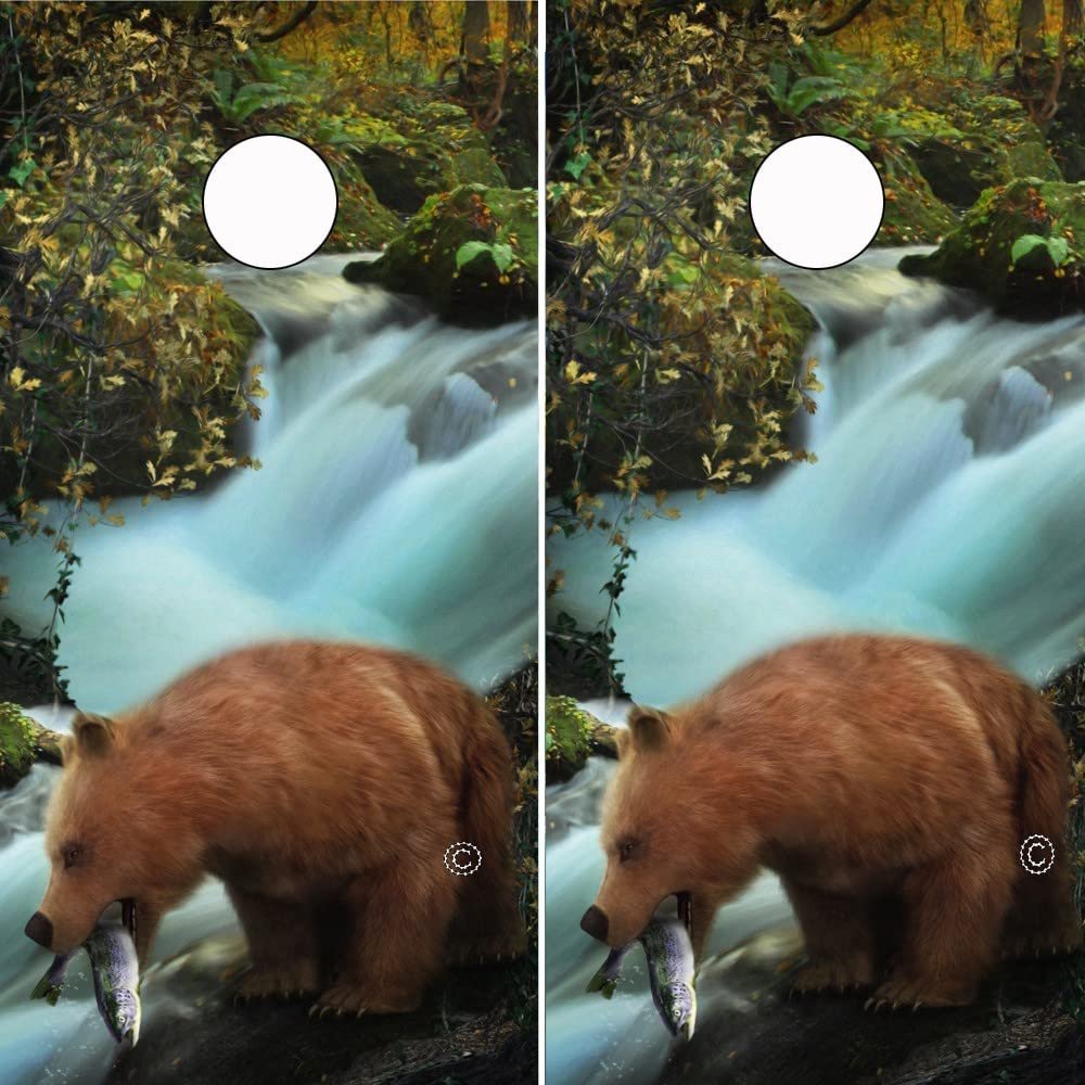 Cornhole Wrap BEAR FISHING IN RIVER Nature Scene