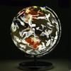 POCHY Beautiful Globe Globe Illuminated Globes Animal Constellation World Globe 9.0 Inch Belt Bracket Learning Education Geographic Globes Fine and Clear view 4