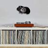 Wall Clock Guinea Pig Wall Clock Funny Hamster Vinyl Record Pig Wall Clock Animal Nursery Decor Shadow Laser Engraved Art Wall Clock Animal Lover view 3