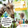 Animal Flash Cards for Toddlers & Kids  Animal ABC Flashcards  Animal Alphabet - 101 Toddler Flashcards  Preschool Flash Card for Kids  Farm, Sea, Jungle, Forest & Birds - Ages 2 3 4 and 5 view 3