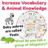 Animal Flash Cards for Toddlers & Kids  Animal ABC Flashcards  Animal Alphabet - 101 Toddler Flashcards  Preschool Flash Card for Kids  Farm, Sea, Jungle, Forest & Birds - Ages 2 3 4 and 5 view 4