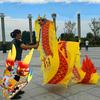 CALMR Chinese Dragon Dance Beginners Yards Beaches Lawns Dragon-Shape Fitness Streamer for Adult Youth Silk Dragon view 1