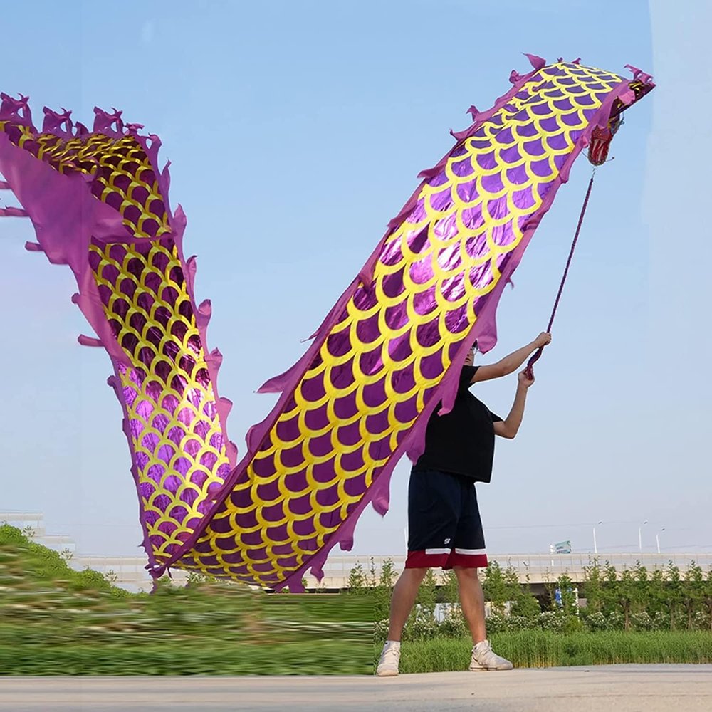 CALMR 3D Dragon Dance Chinese Dragon Dance Outdoor Fitness Dragon Dance Chinese Folk Dragon Dance Ribbon with Rope and Travel Bag