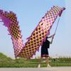 CALMR 3D Dragon Dance Chinese Dragon Dance Outdoor Fitness Dragon Dance Chinese Folk Dragon Dance Ribbon with Rope and Travel Bag view 1