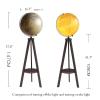 POCHY Beautiful Globe Globe Illuminated World Globe Floor Standing Tripod Geographic Globes Raised Embossed Geographic Globes with Storage Rack Fine and Clear view 2