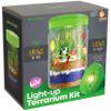 Dan&Darci Light-Up Terrarium Kit for Kids - STEM Science Kit - Educational DIY Toy for Boys & Girls - Birthday Craft Project Idea for Ages 6 7 8 9 10 11 12 Year Old view 1