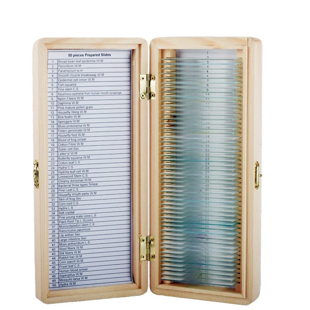 50 Slices of Biological Tissue Slides Wooden Case Packing for Basic Biological Science Education Microscope Biological