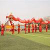 CALMR Chinese Dragon Dance 12 M Dragon Dance Performance Party Outdoor Sports Dragon Fitness Dragon and Lion Dance Props view 3