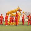 CALMR Chinese Dragon Dance 12 M Dragon Dance Performance Party Outdoor Sports Dragon Fitness Dragon and Lion Dance Props view 4