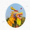 Lion Dance Dragon Plastic+Gold Satin Cloth Chinese Dragon Dance 6m Dragon and Lion Dance Props Outdoor Sport Silk Dragon view 4