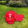 CALMR Chinese Lion Dance Spring Festival Yarn Lion Dance Celebration Opening Outdoor Lion Dance Traditional Mascot Lion Dance Head view 2