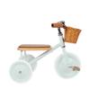 BANWOOD Trike (Mint) view 1