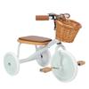 BANWOOD Trike (Mint) view 3