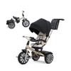 Bentley Trike - All Terrain Toddler Bike 6-in-1, Mulliner Gold Limited Edition, Officially Licensed and Designed by Bentley Motors UK; Baby to Big Kid Tricycle (6m-5y+) view 1