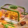 Kids Plant Growing Kit, Kids Gardening Greenhouse Growing Kit with Drip Irrigation and Grow Lights, Science STEM Toys Terrarium Kit for Boys Girls 3 4 5 6 7 8 Year Old,Kids Flower Growing Kit view 1