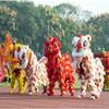 CALMR Advanced Wool Chinese Dragon Dance Props Chinese New Year Lion Classic Lion Dance Outdoor Sports Lion Dance Silk Lion Dance view 3
