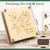 Aboofx Flower Press Kit, Craft Kits 11"x11" 10 Layers Wooden Flower Pressing Kit for Crafts Pressed Flowers & Plant Press for Valentine DIY Art, Preservation for Bookmark Frame Wedding Flowers Drying view 2