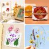 Aboofx Flower Press Kit, Craft Kits 11"x11" 10 Layers Wooden Flower Pressing Kit for Crafts Pressed Flowers & Plant Press for Valentine DIY Art, Preservation for Bookmark Frame Wedding Flowers Drying view 4