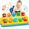 Interactive Pop up Animal Toys with Music & Light, Montessori Cause and Effect Toys for 1 Year Old Boy Girl Early Learning Musical Baby Toy 9-12-18 Months STEM Toddler Toy Age 1-2 Gift for Infant view 1