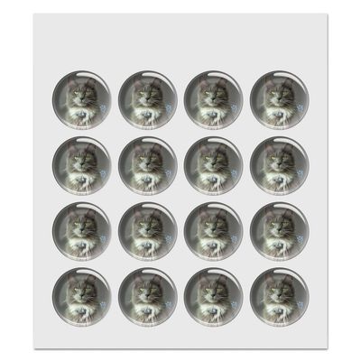 Smokey Cat 1.0" Puffy Bubble Dome Scrapbooking Crafting Sticker Set