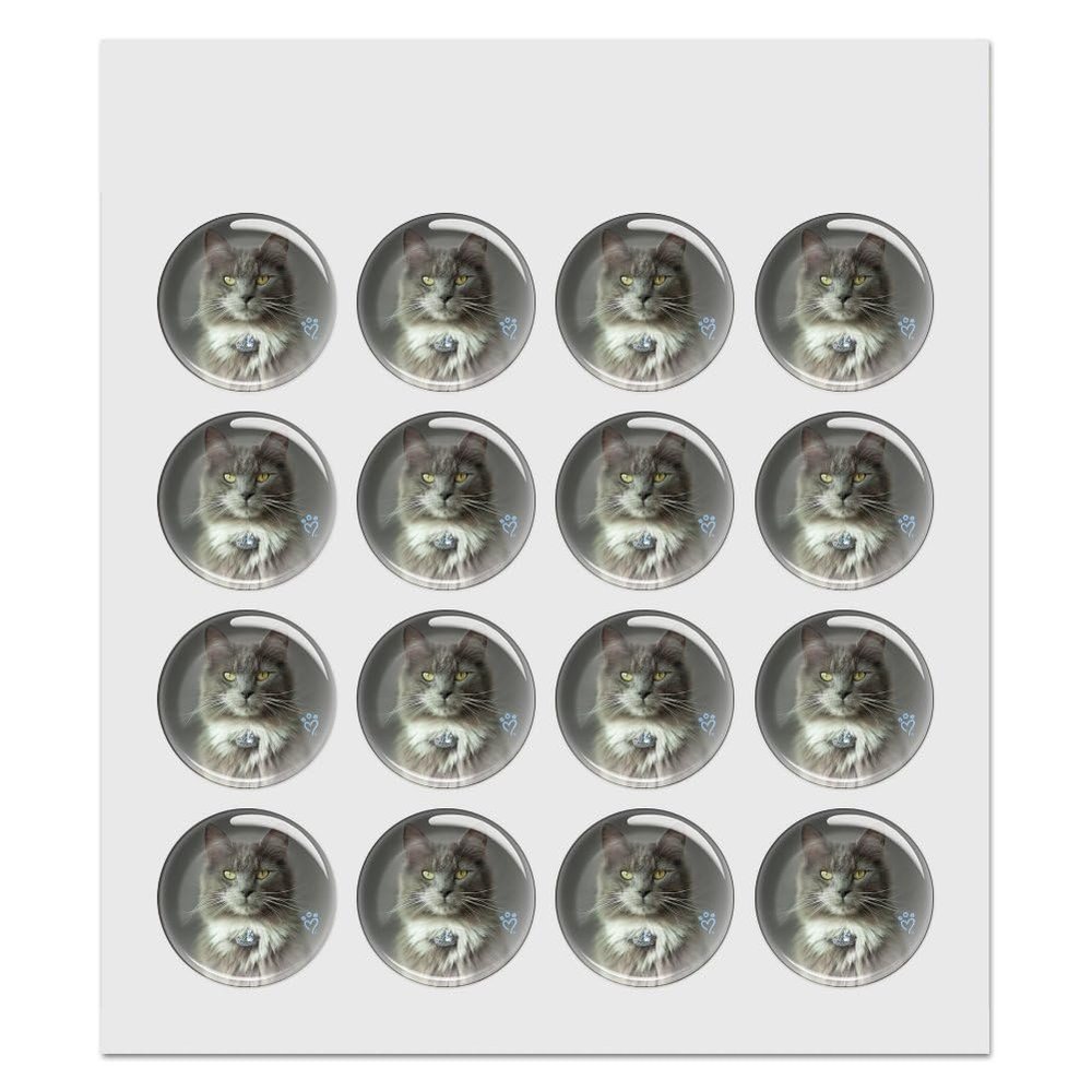 Smokey Cat 1.0" Puffy Bubble Dome Scrapbooking Crafting Sticker Set