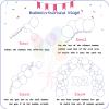 412pcs Pastel Mint Green Balloon Garland Arch Kit 18 12 10 5 Inch Different Sizes Light Latex Balloons for Baby Shower Birthday Wedding Jungle Forest Party Decoration view 3