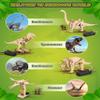 Poraxy Dinosaur Toys, 4 in 1 STEM Kits for Kids Age 8-10, Toys for Ages 8-13, Educational Science Building Projects, 3D Wooden Puzzles Robot Crafts, Gifts for Boys Girls 7 8 9 10 11 12 13 Year Old view 4
