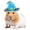 ComiMag 6-Pack Mini Chicken Hats for Hens, Dolls Hats, Cute Decorations view 4