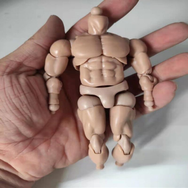 1/12 Scale Body Model for 6" Figure